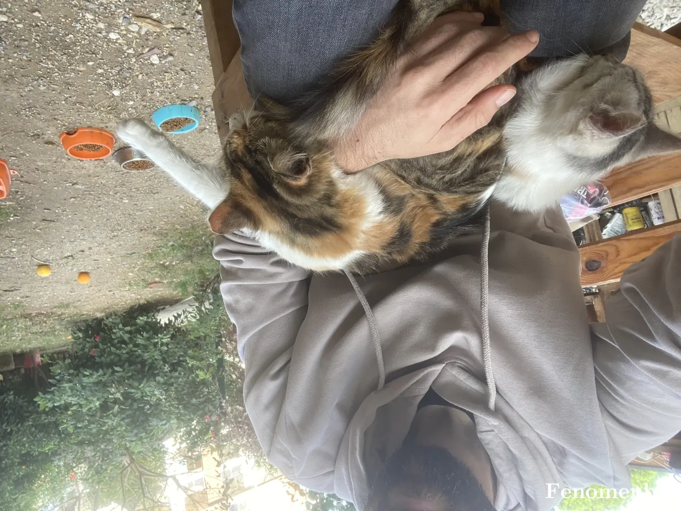 tvfk07 tarafından paylaşılan fotoğraf