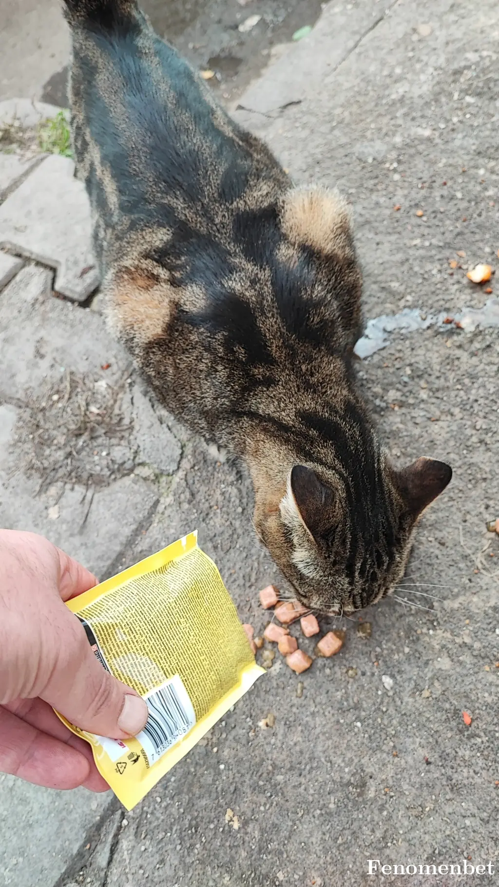 Jasius1 tarafından paylaşılan fotoğraf