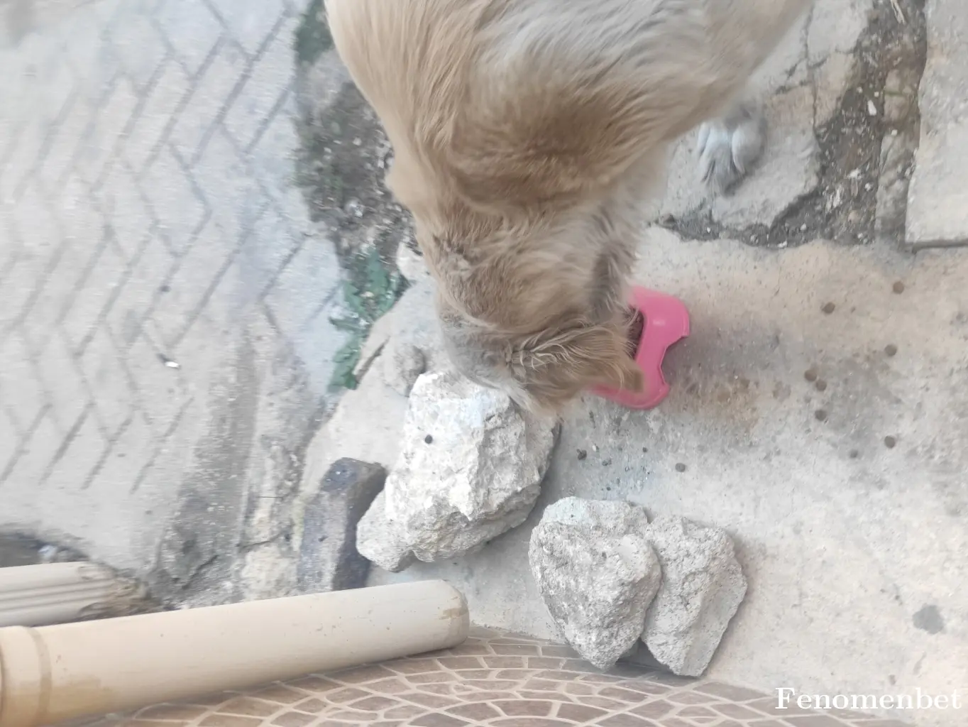 Celal267 tarafından paylaşılan fotoğraf