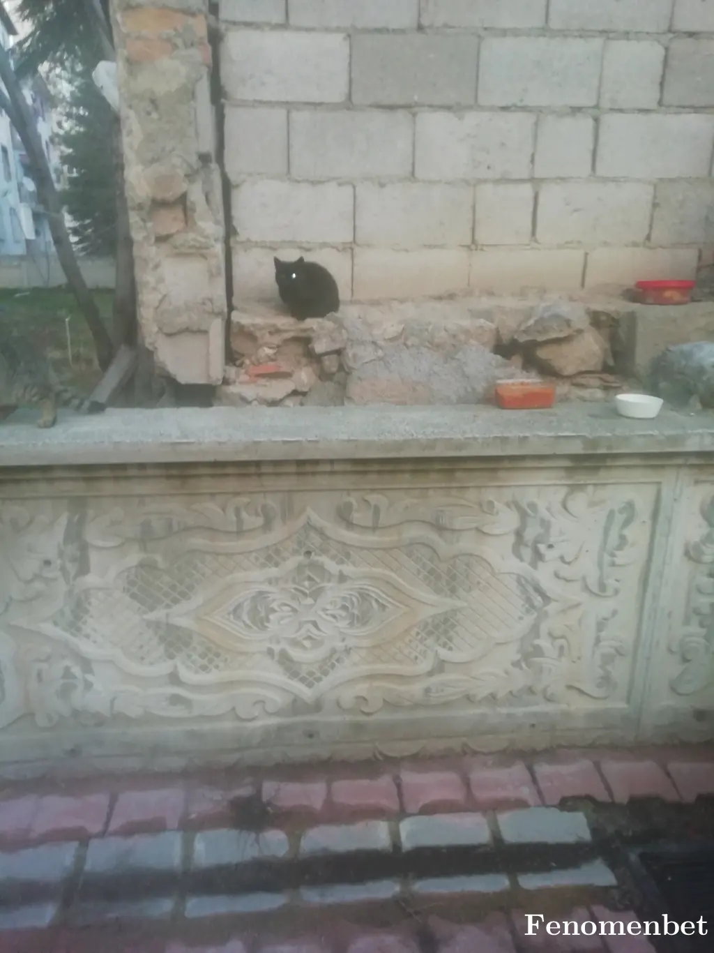 sokratess tarafından paylaşılan fotoğraf