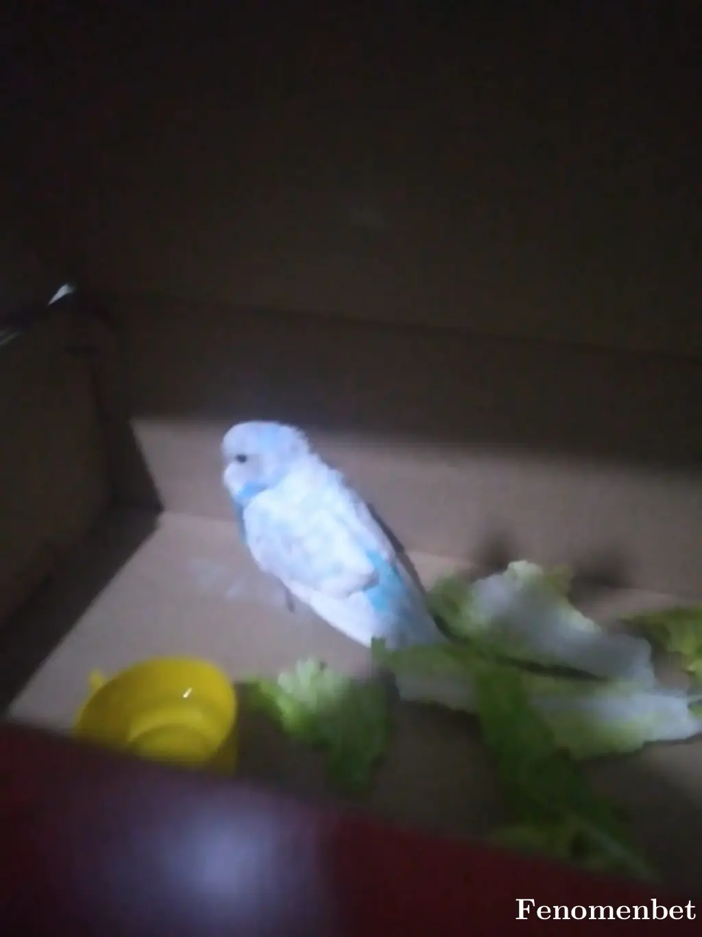 30011951 tarafından paylaşılan fotoğraf