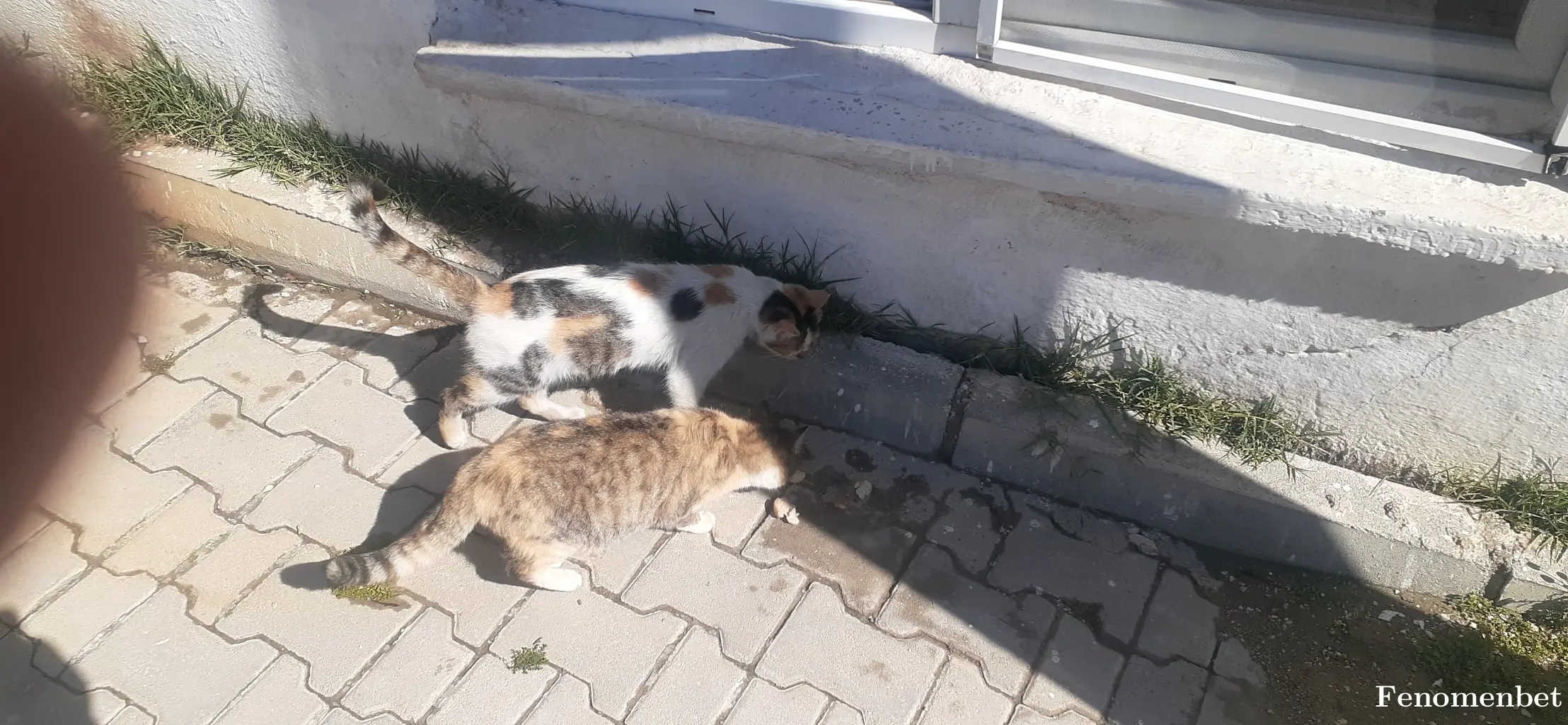 kinabruk tarafından paylaşılan fotoğraf