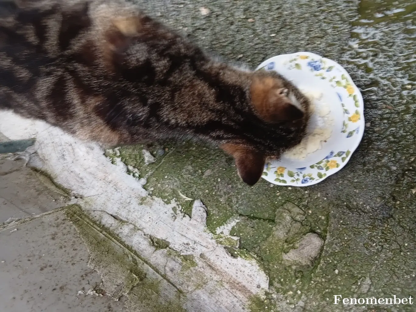 11468367 tarafından paylaşılan fotoğraf