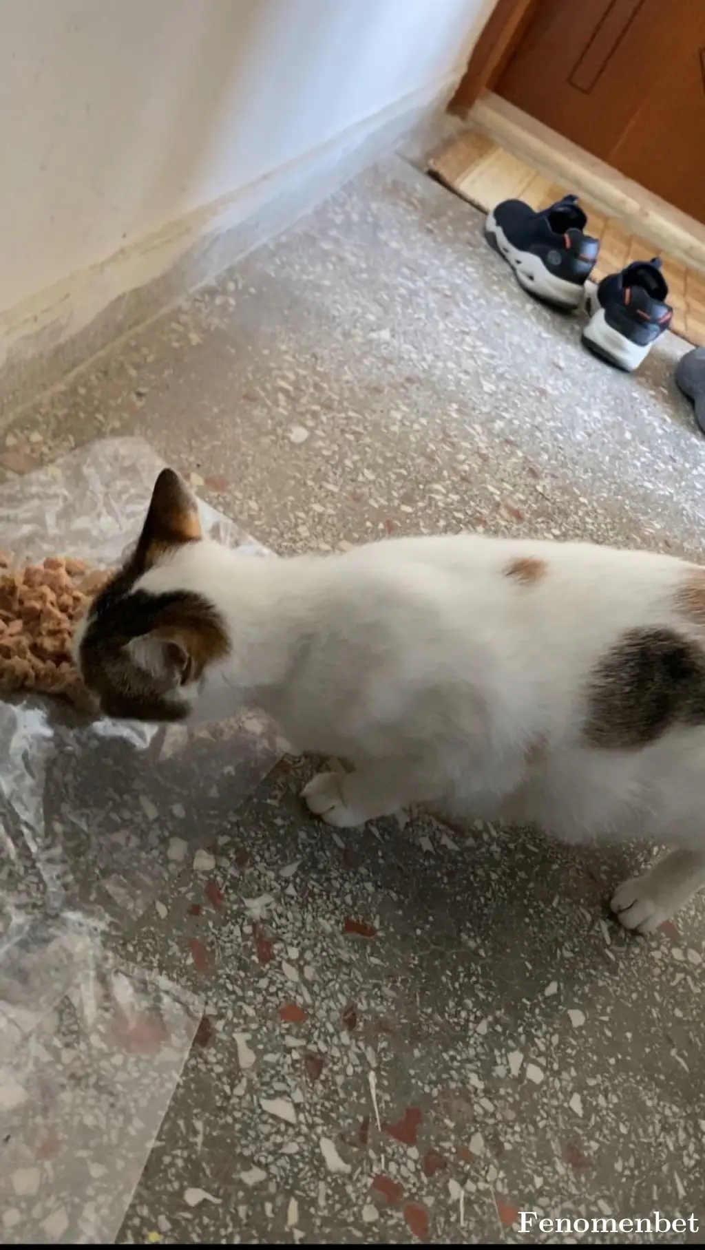 uqurasutay tarafından paylaşılan fotoğraf