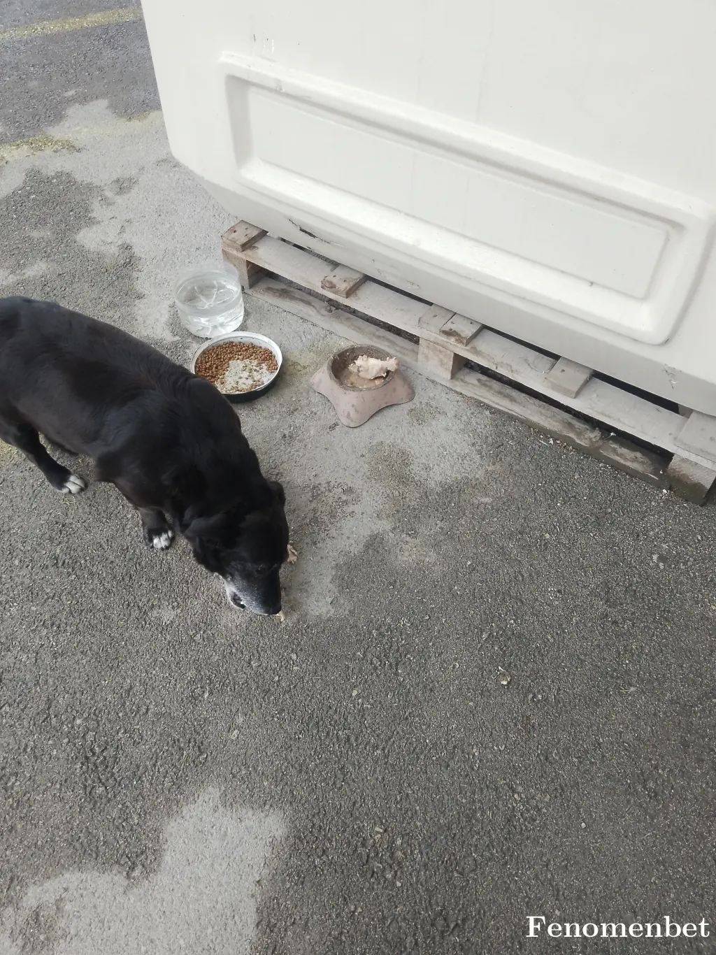 Volkanselcuk64 tarafından paylaşılan fotoğraf