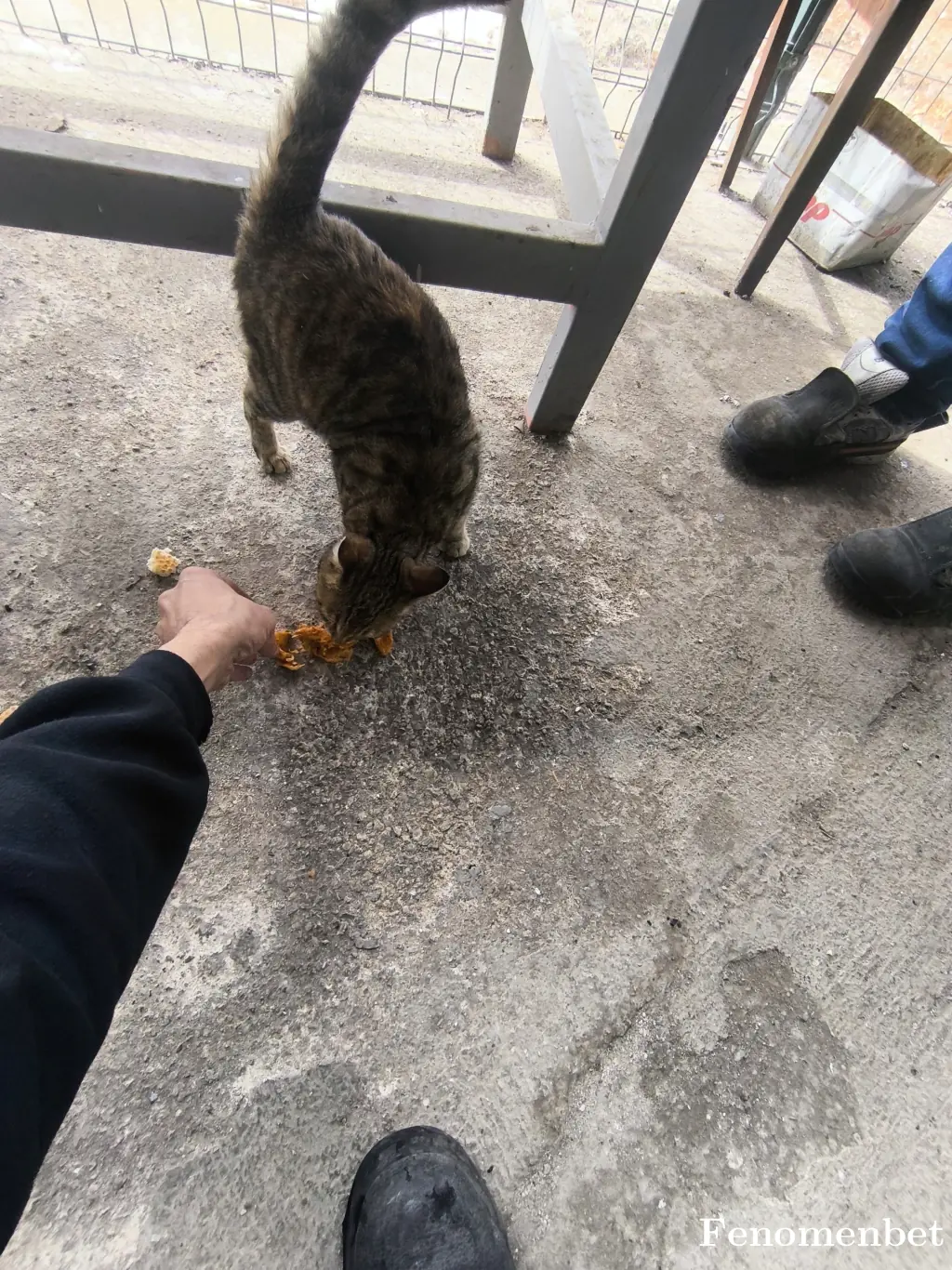 Asi6385 tarafından paylaşılan fotoğraf