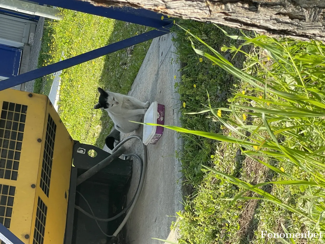 Nefff00 tarafından paylaşılan fotoğraf