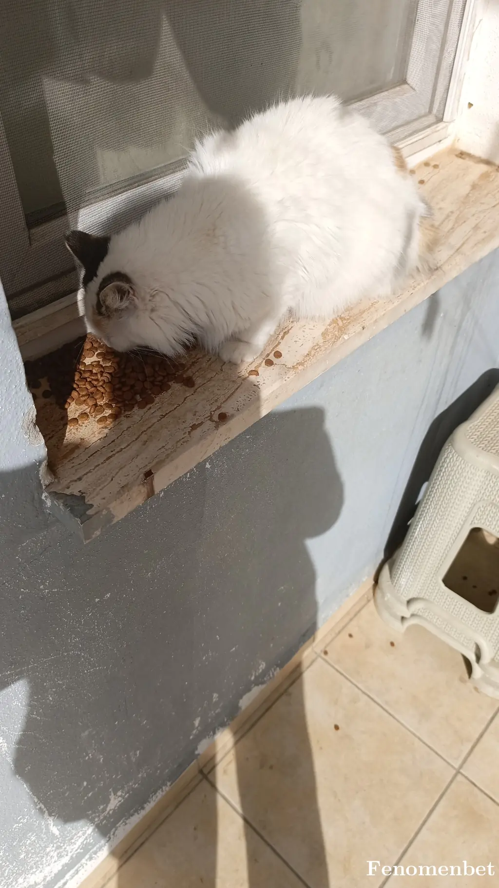 Yazar3838 tarafından paylaşılan fotoğraf