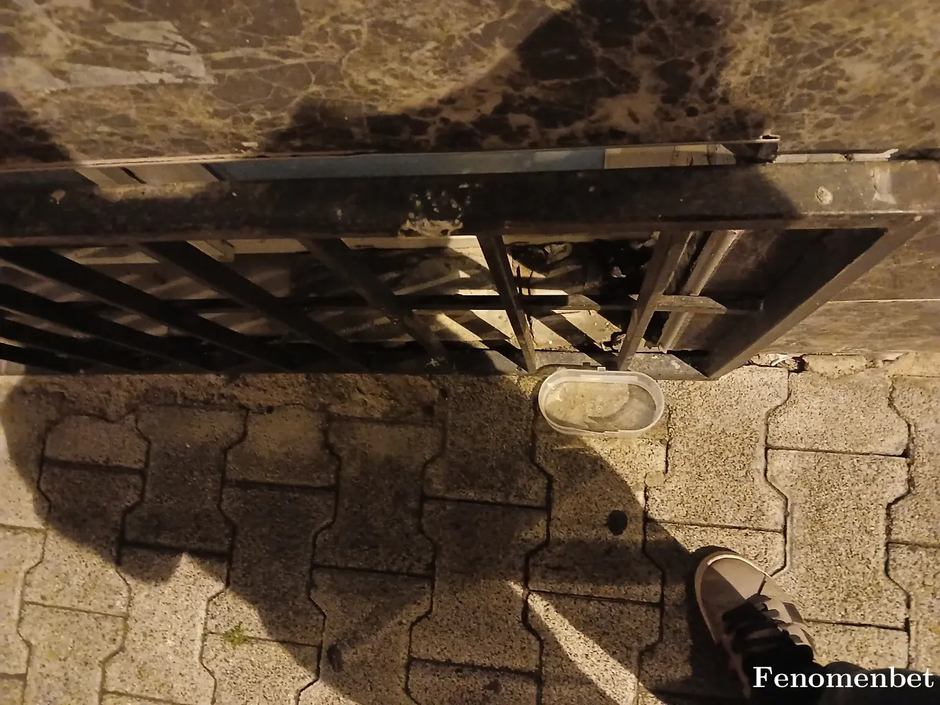 Bolucu6666  tarafından paylaşılan fotoğraf