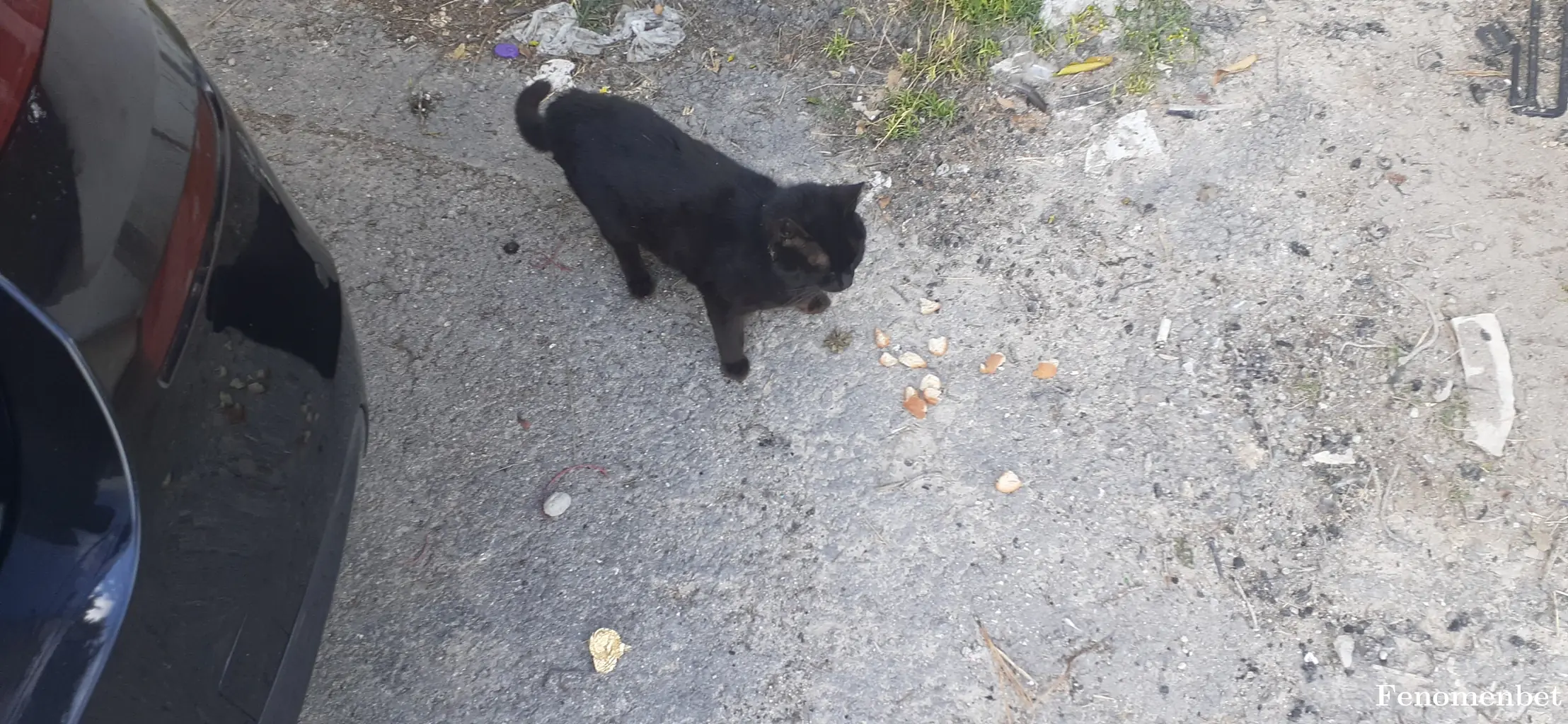 karslim63 tarafından paylaşılan fotoğraf