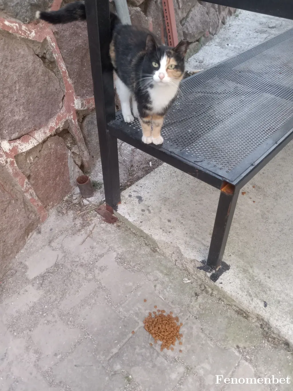 dilek3544 tarafından paylaşılan fotoğraf