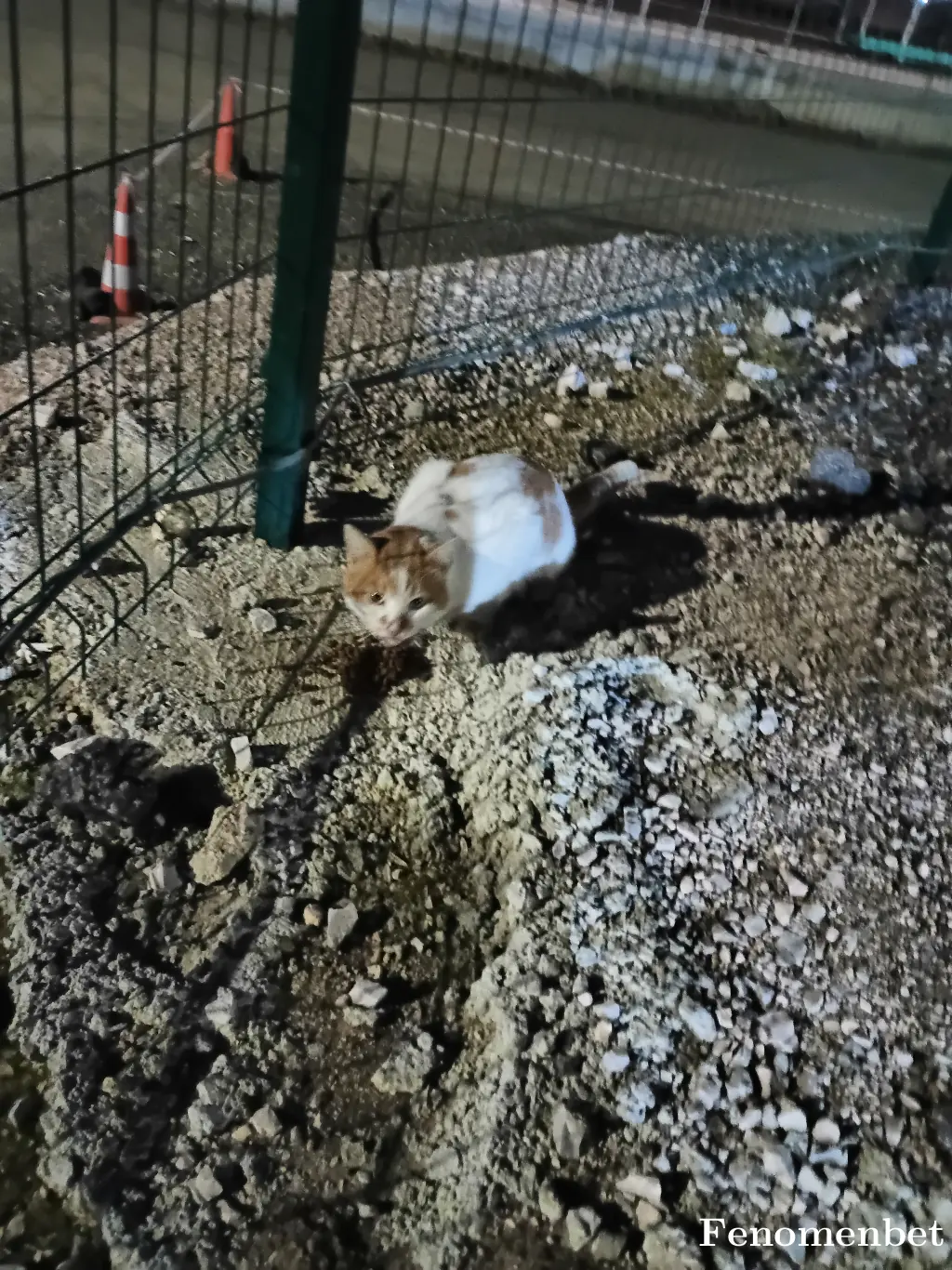 Abdullaharazz tarafından paylaşılan fotoğraf