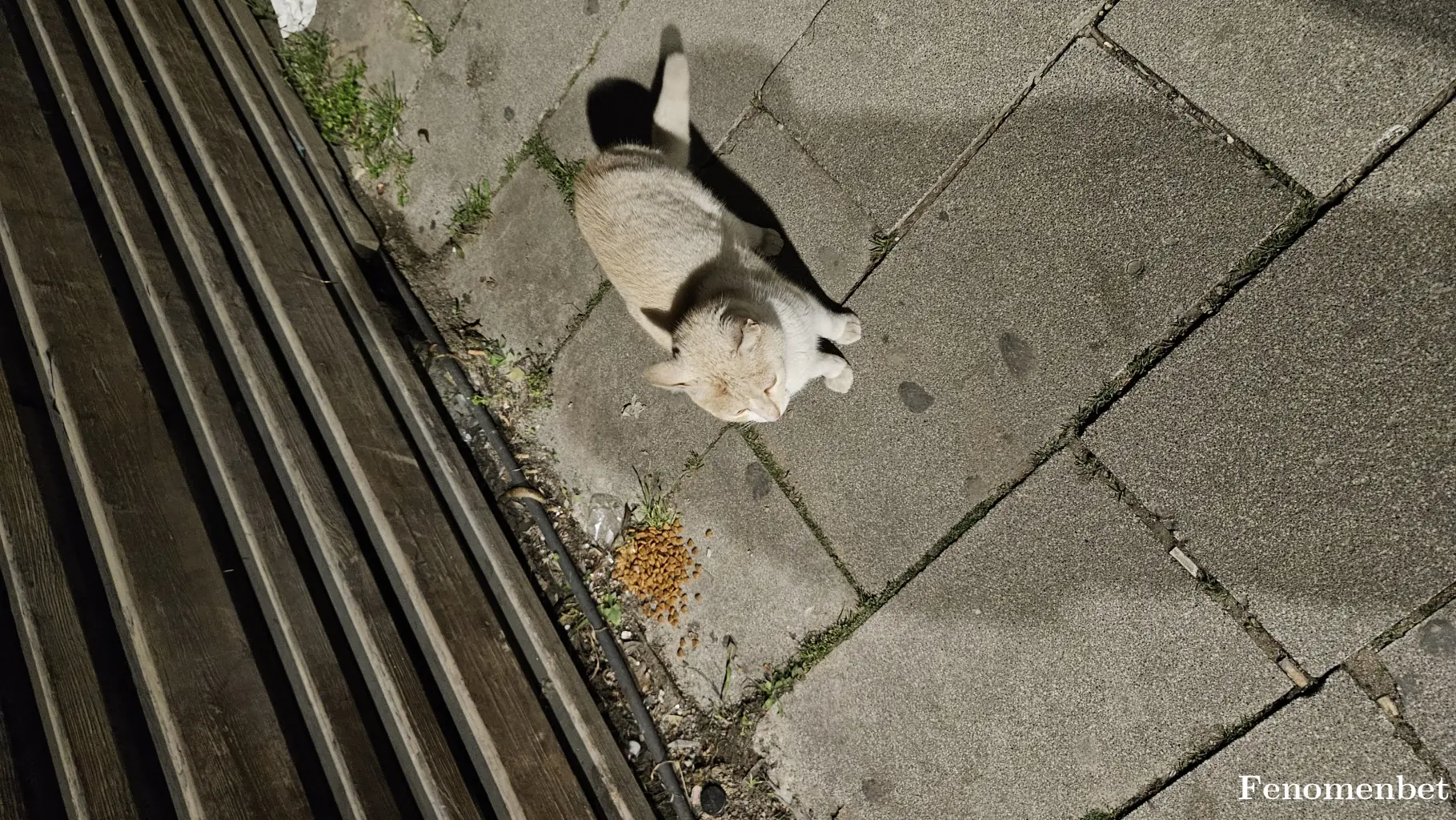 betboy17  tarafından paylaşılan fotoğraf