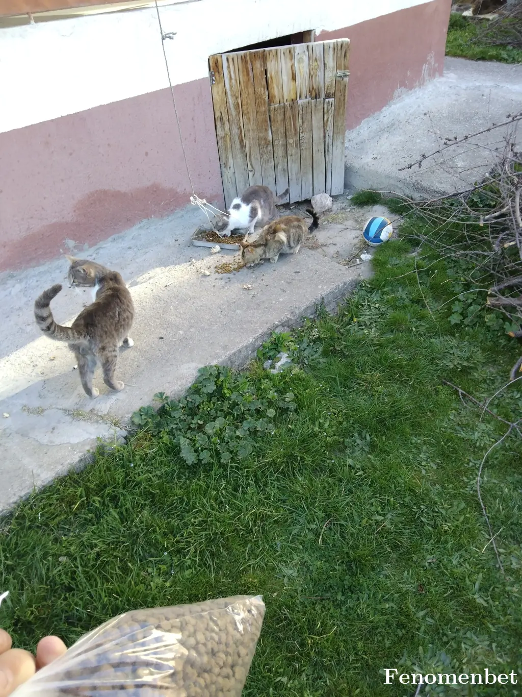 OzanEk tarafından paylaşılan fotoğraf