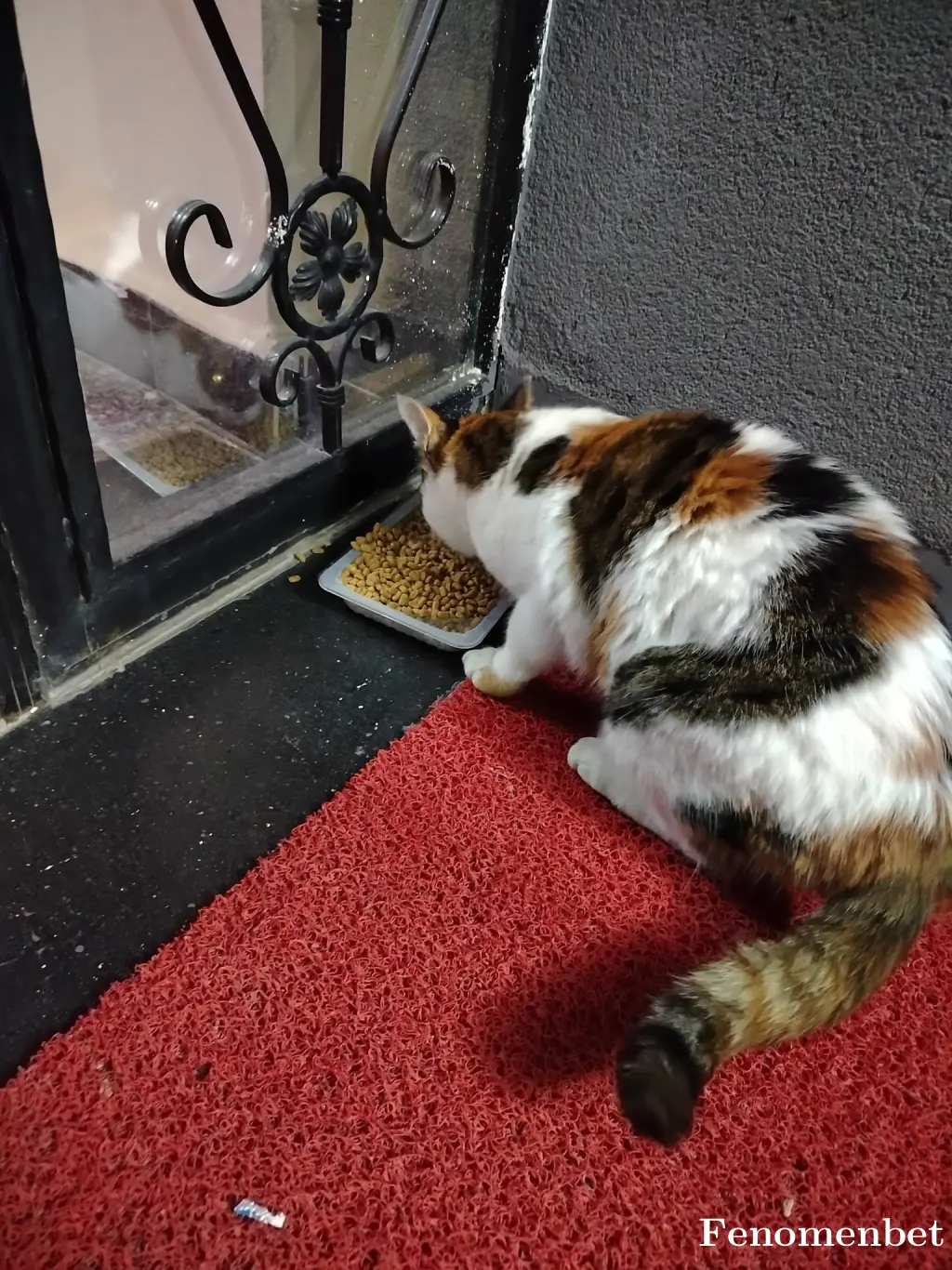 Frknsrds tarafından paylaşılan fotoğraf