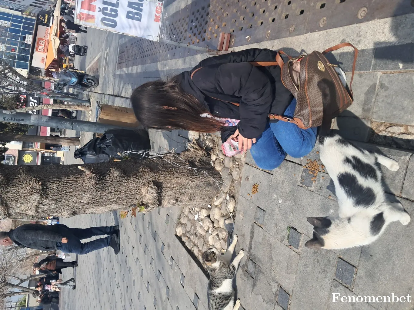 dilo24  tarafından paylaşılan fotoğraf