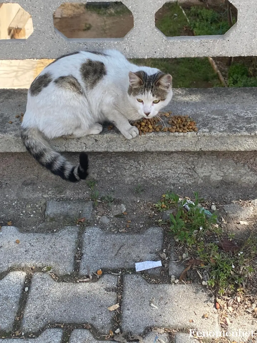 ruzgar03 tarafından paylaşılan fotoğraf