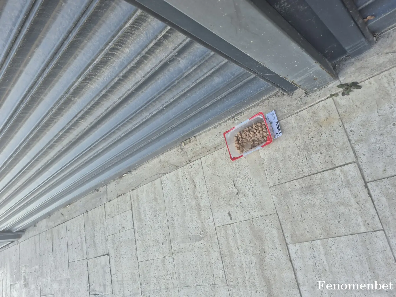 Krmgrsl41 tarafından paylaşılan fotoğraf