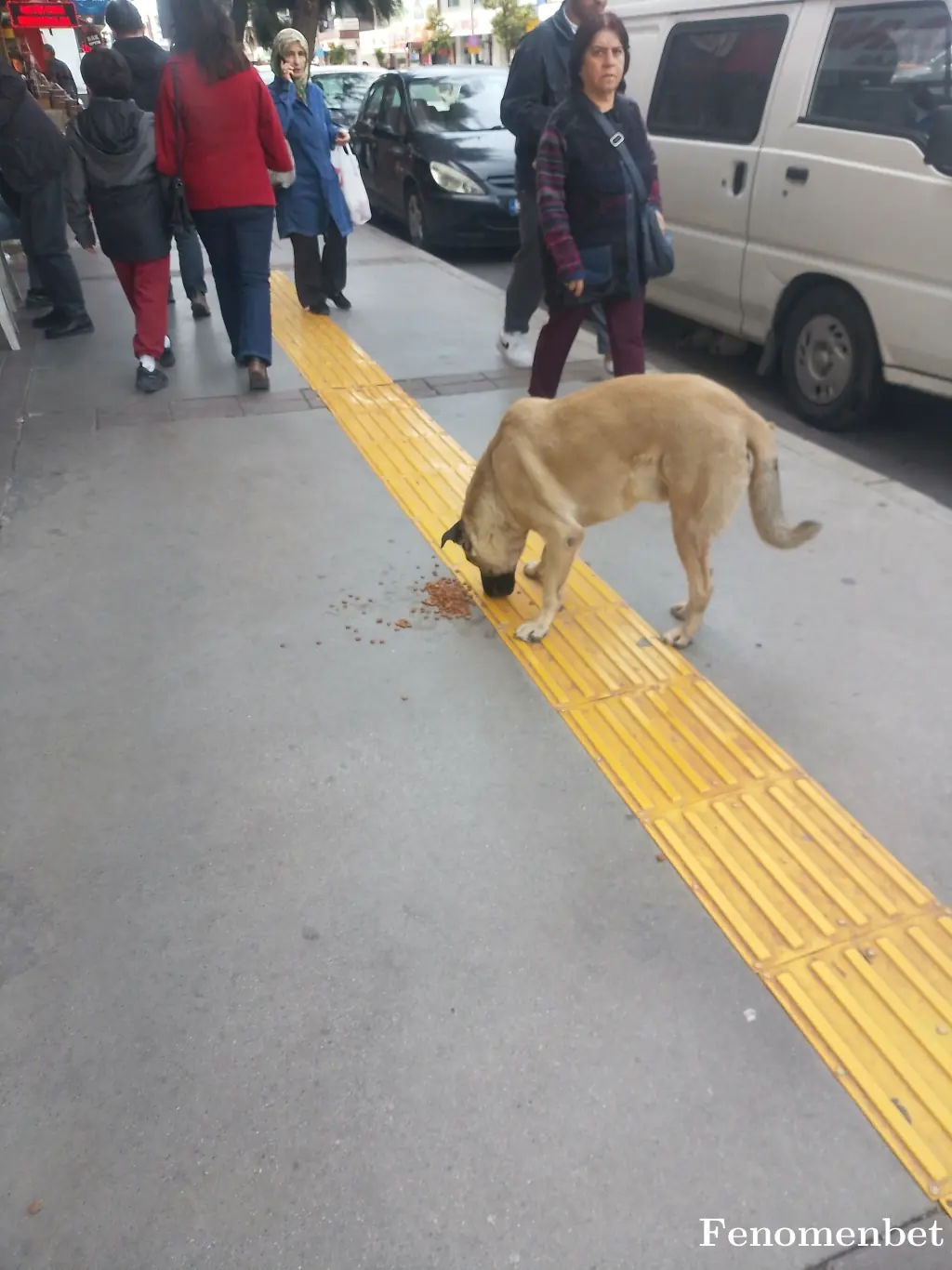 Kmsl_49 tarafından paylaşılan fotoğraf