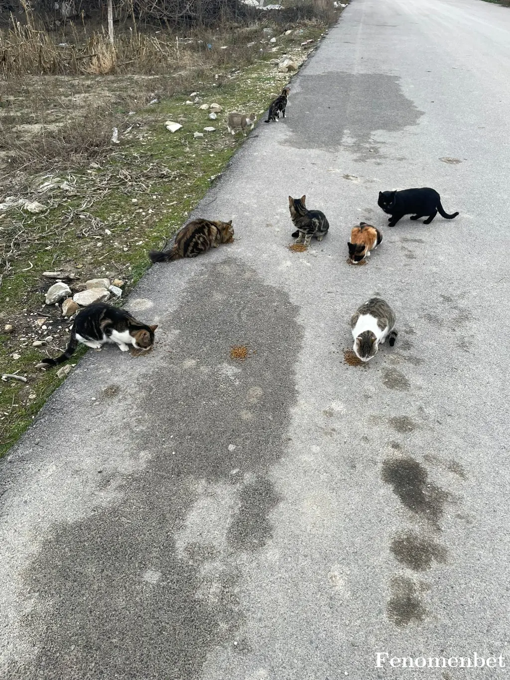 Cain17 tarafından paylaşılan fotoğraf