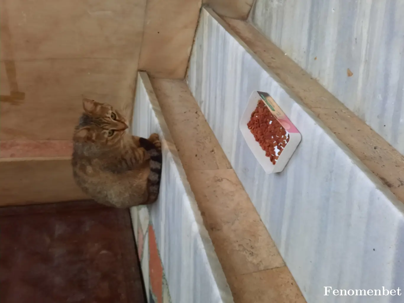 Kehribar7  tarafından paylaşılan fotoğraf