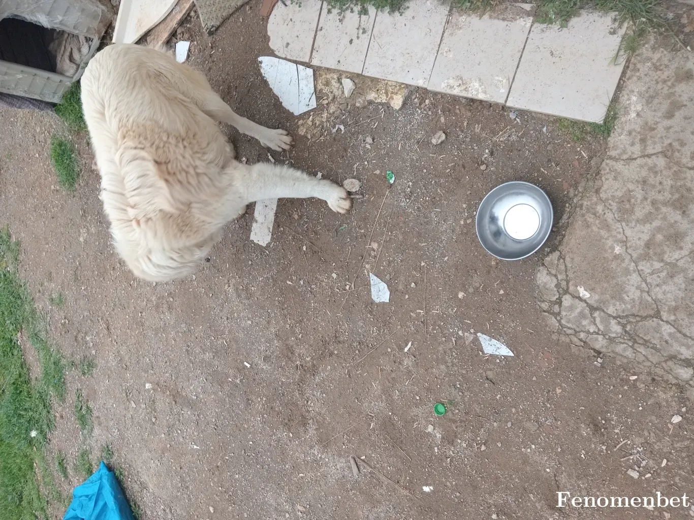 izmirliii tarafından paylaşılan fotoğraf