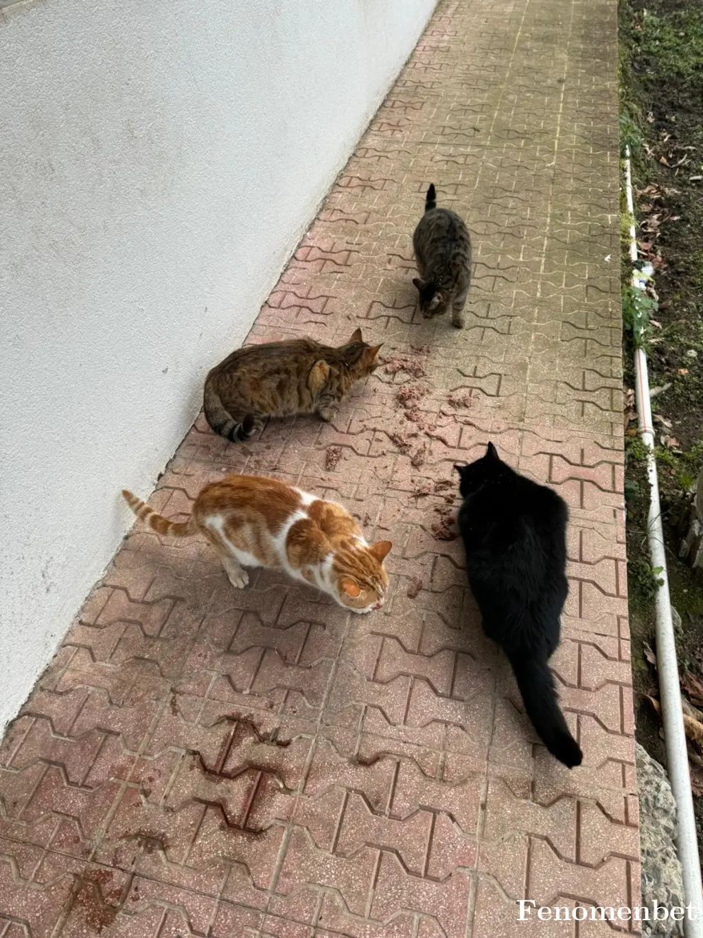 3mrclk53 tarafından paylaşılan fotoğraf