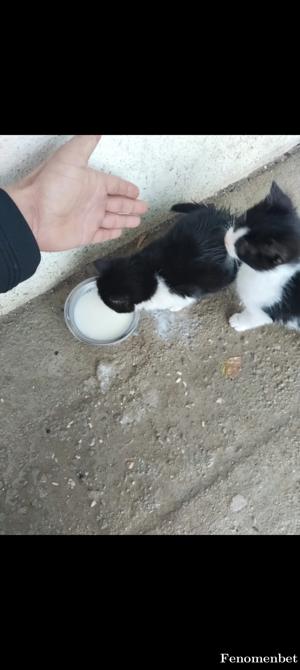 Jopl12  tarafından paylaşılan fotoğraf