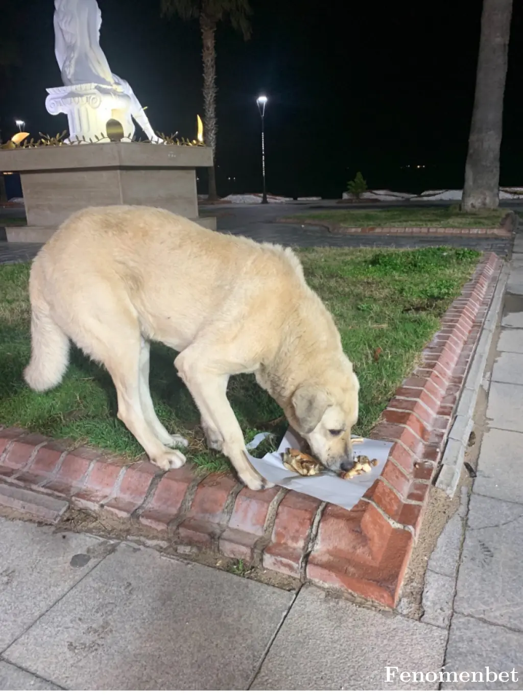 Bugenco tarafından paylaşılan fotoğraf