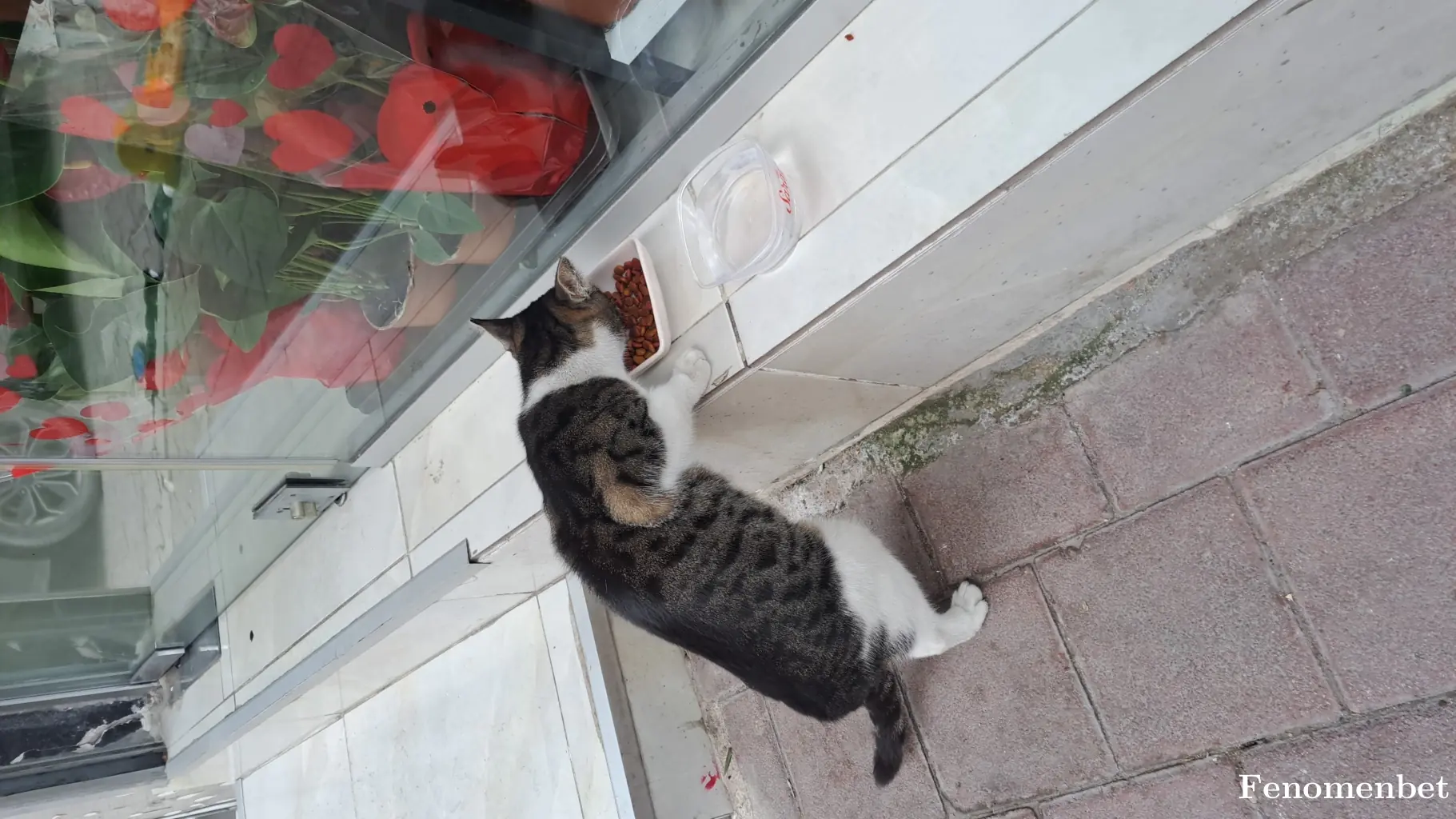 Murat1352 tarafından paylaşılan fotoğraf