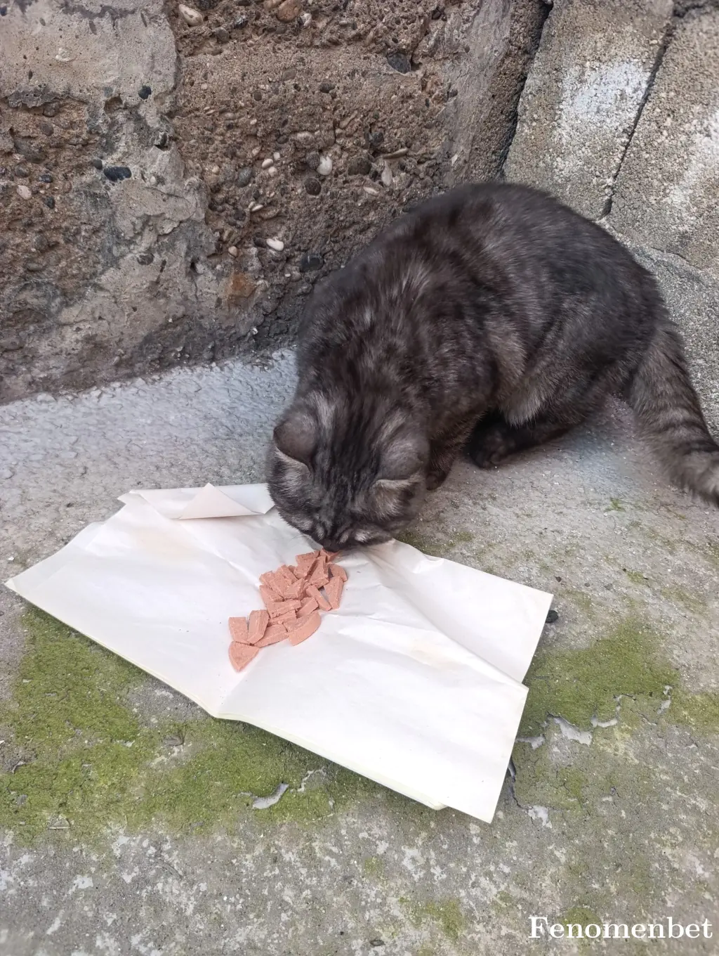 Nakolat27 tarafından paylaşılan fotoğraf