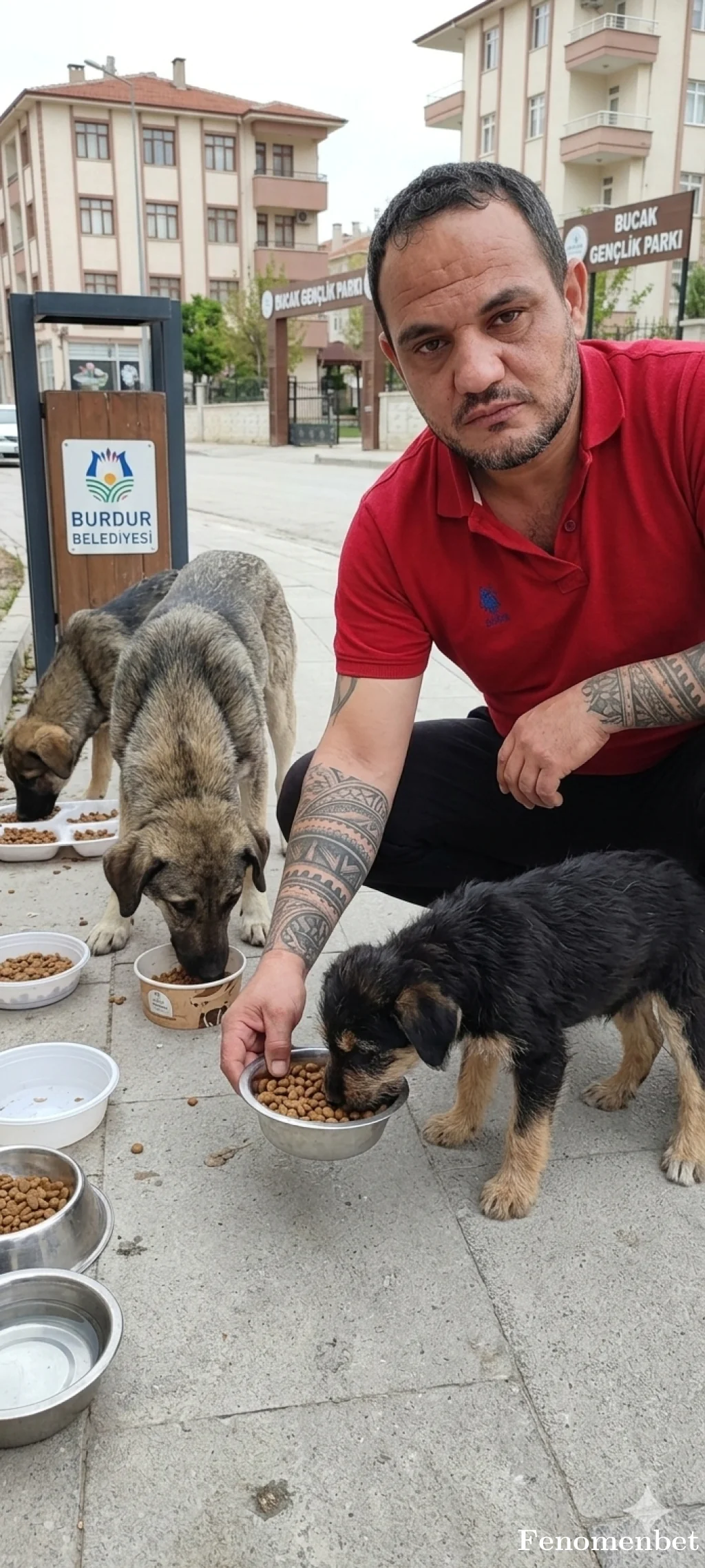 Confiy34 tarafından paylaşılan fotoğraf