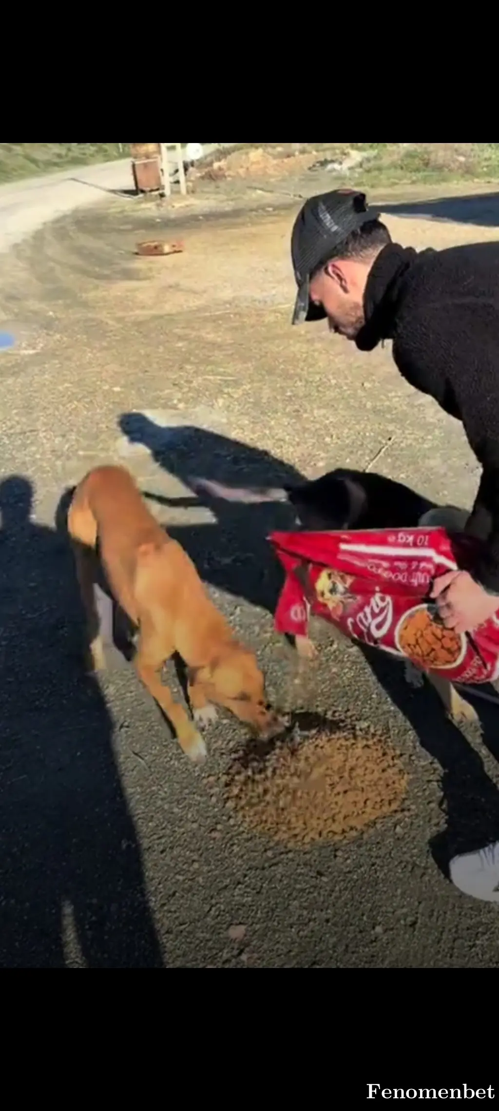 Kefaokur14 tarafından paylaşılan fotoğraf