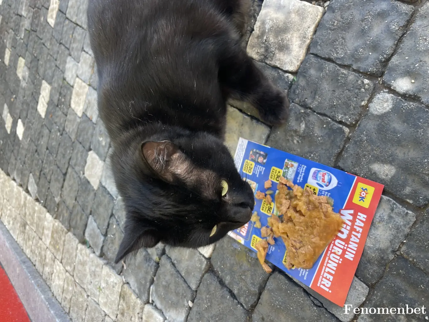 Meliho07 tarafından paylaşılan fotoğraf