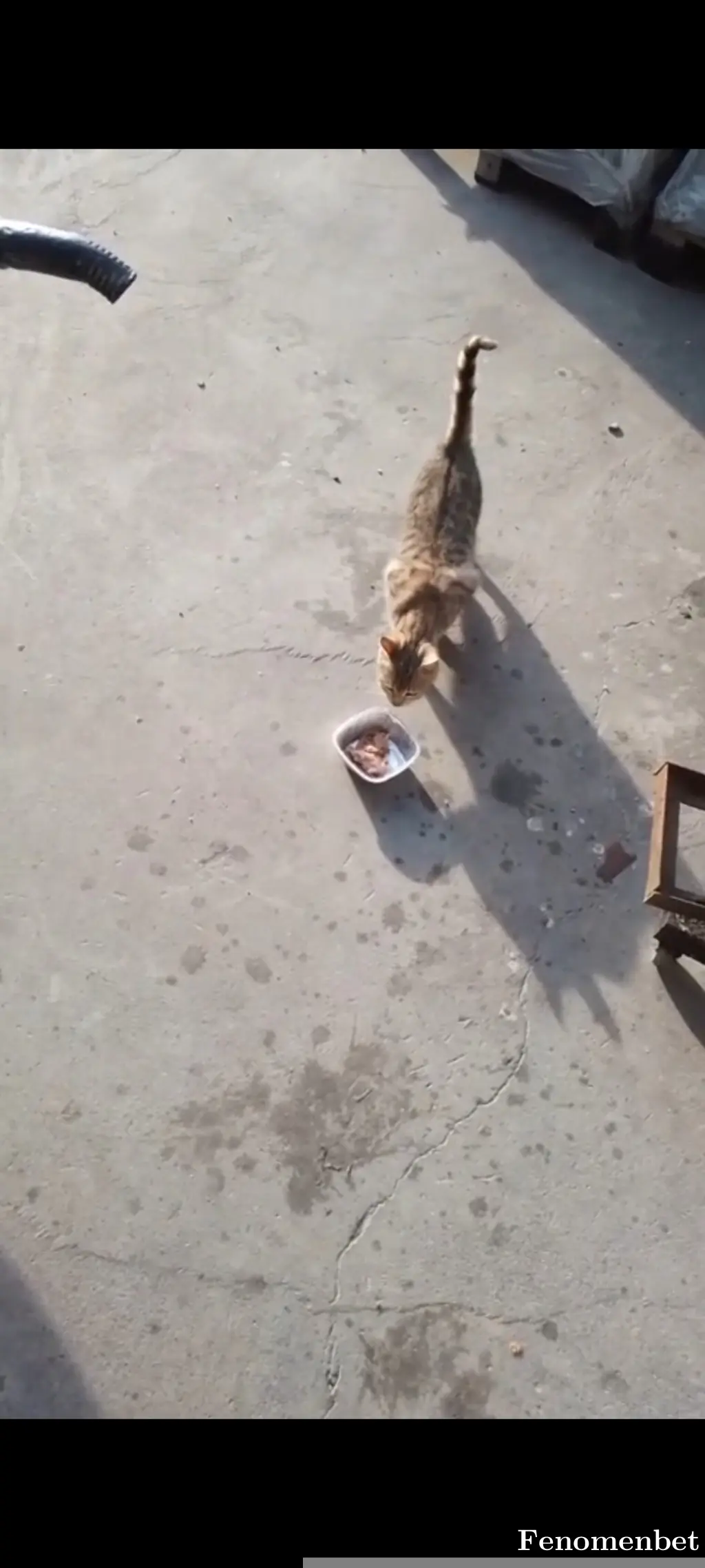 Hsckn tarafından paylaşılan fotoğraf