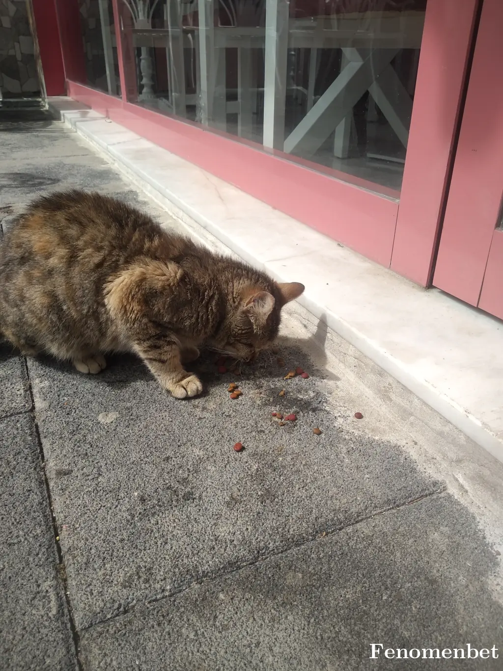 Ramsesboy tarafından paylaşılan fotoğraf