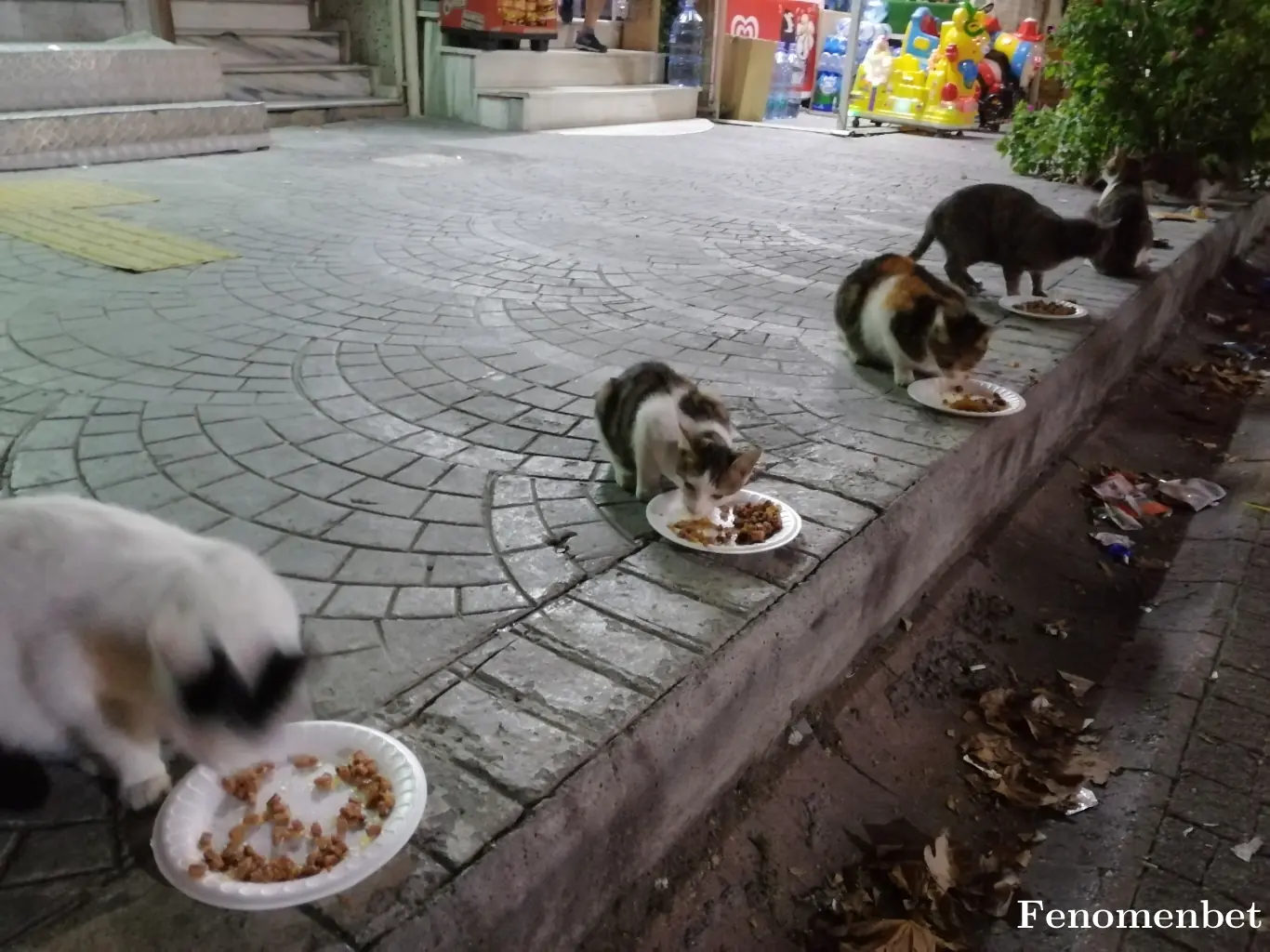 krksbrthrs tarafından paylaşılan fotoğraf