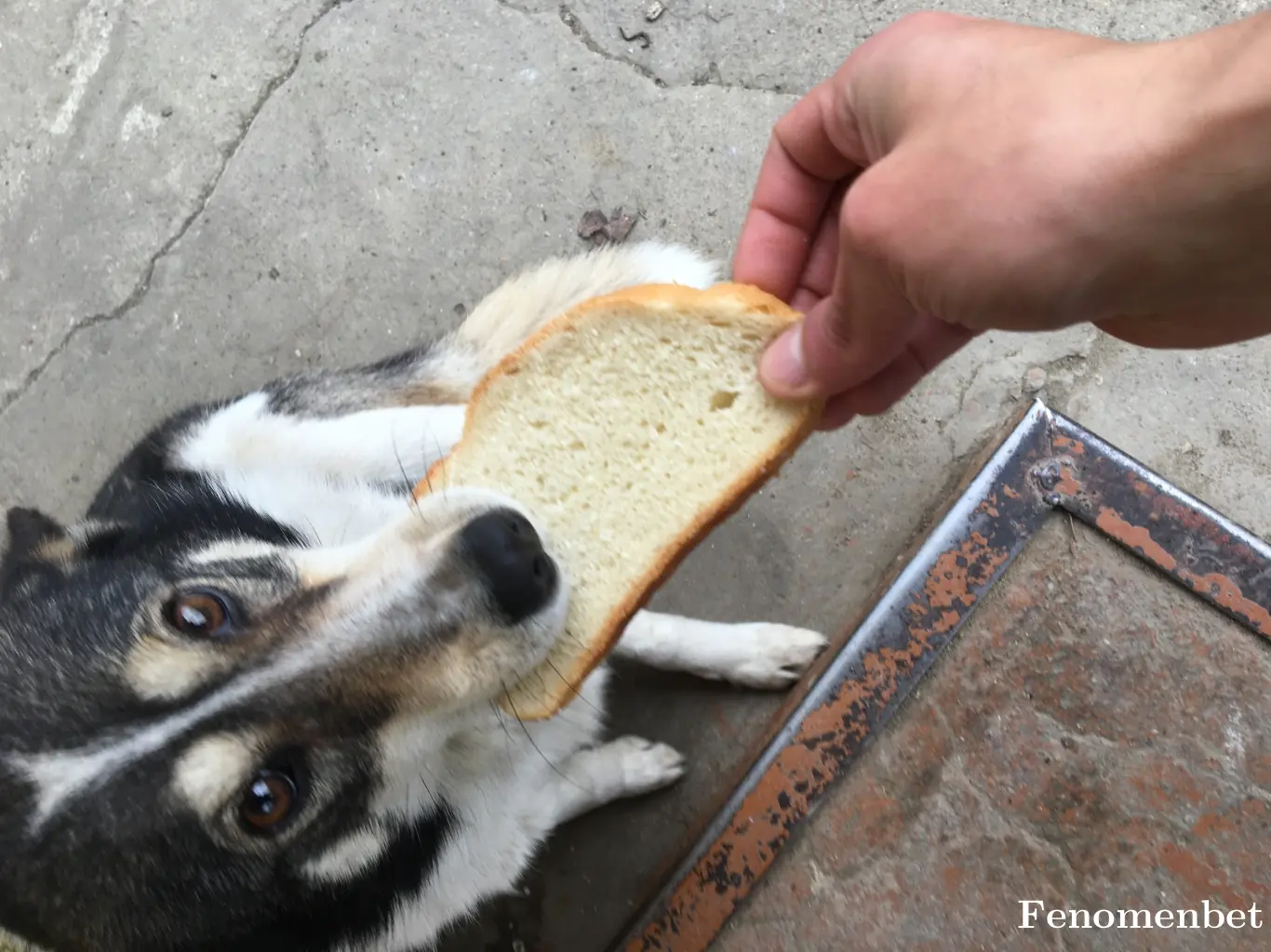 Emero9488 tarafından paylaşılan fotoğraf