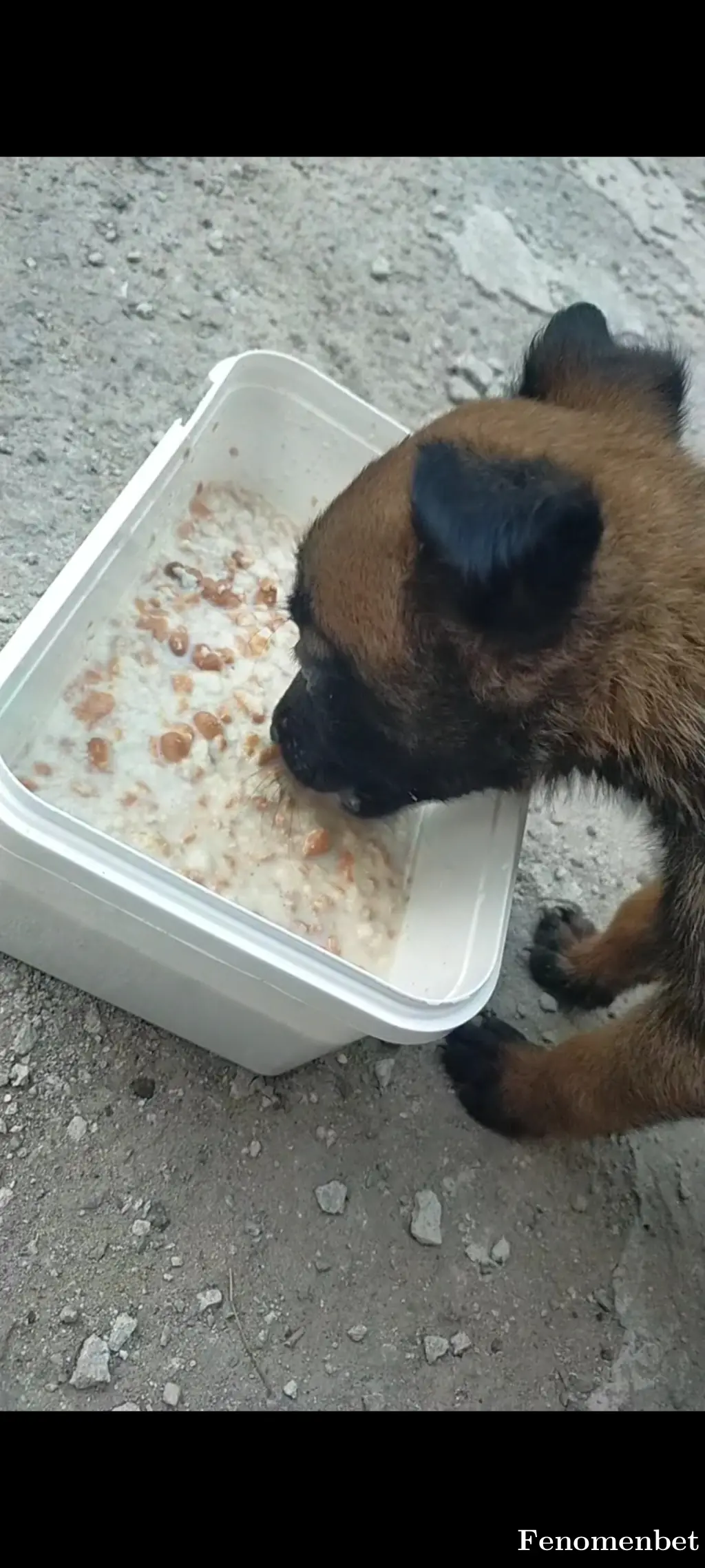 Pioner51  tarafından paylaşılan fotoğraf