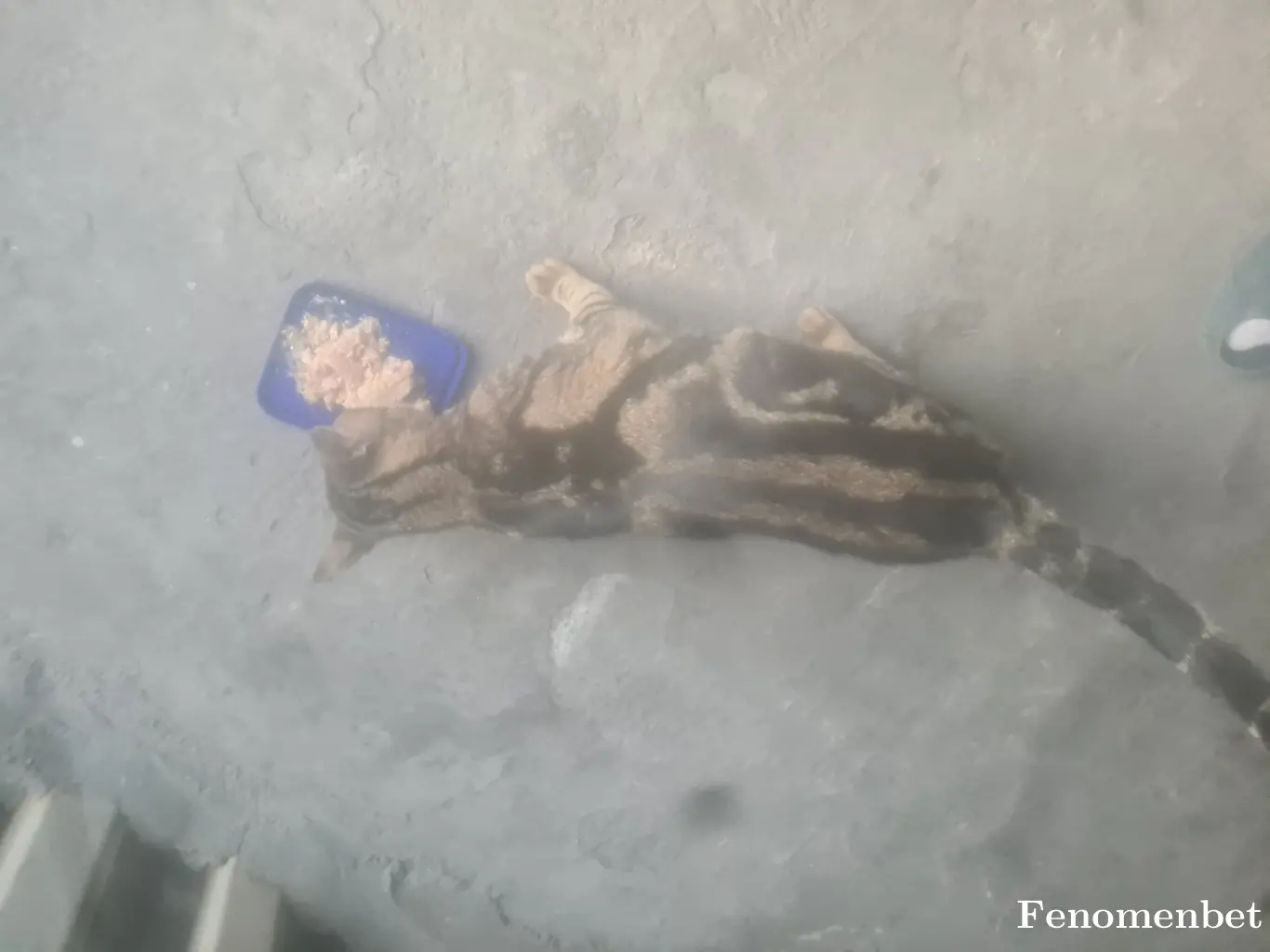 Cixooo tarafından paylaşılan fotoğraf