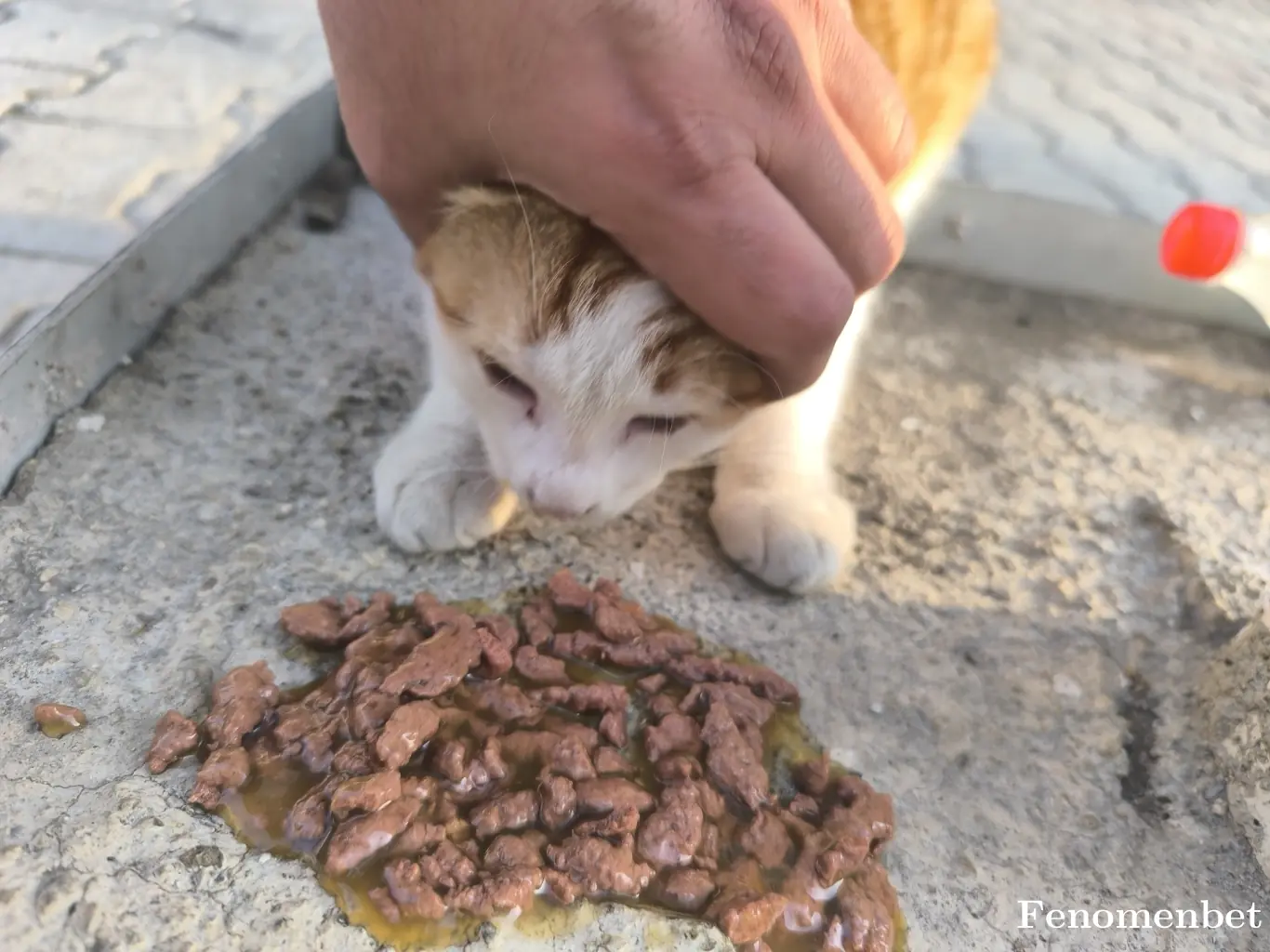 Kakaletaa tarafından paylaşılan fotoğraf