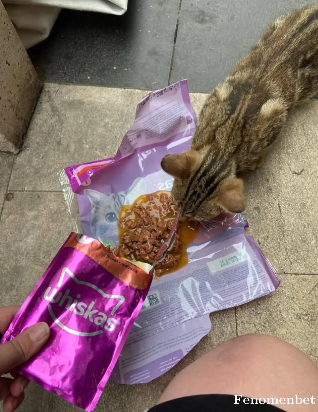 Shnckm25 tarafından paylaşılan fotoğraf