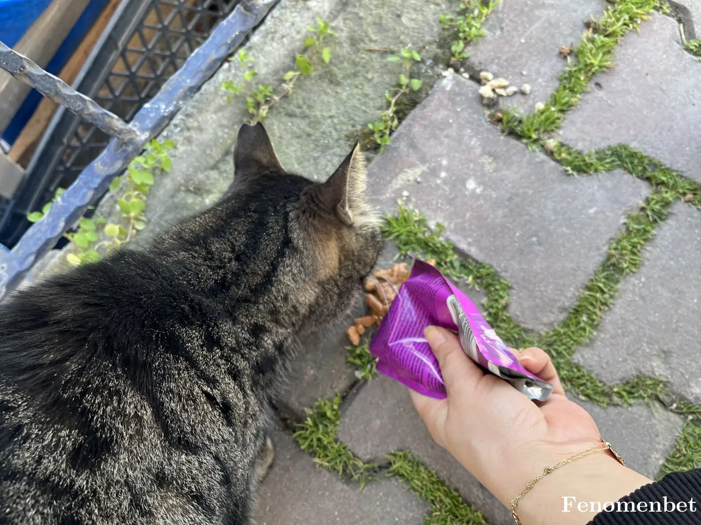 secil8981 tarafından paylaşılan fotoğraf