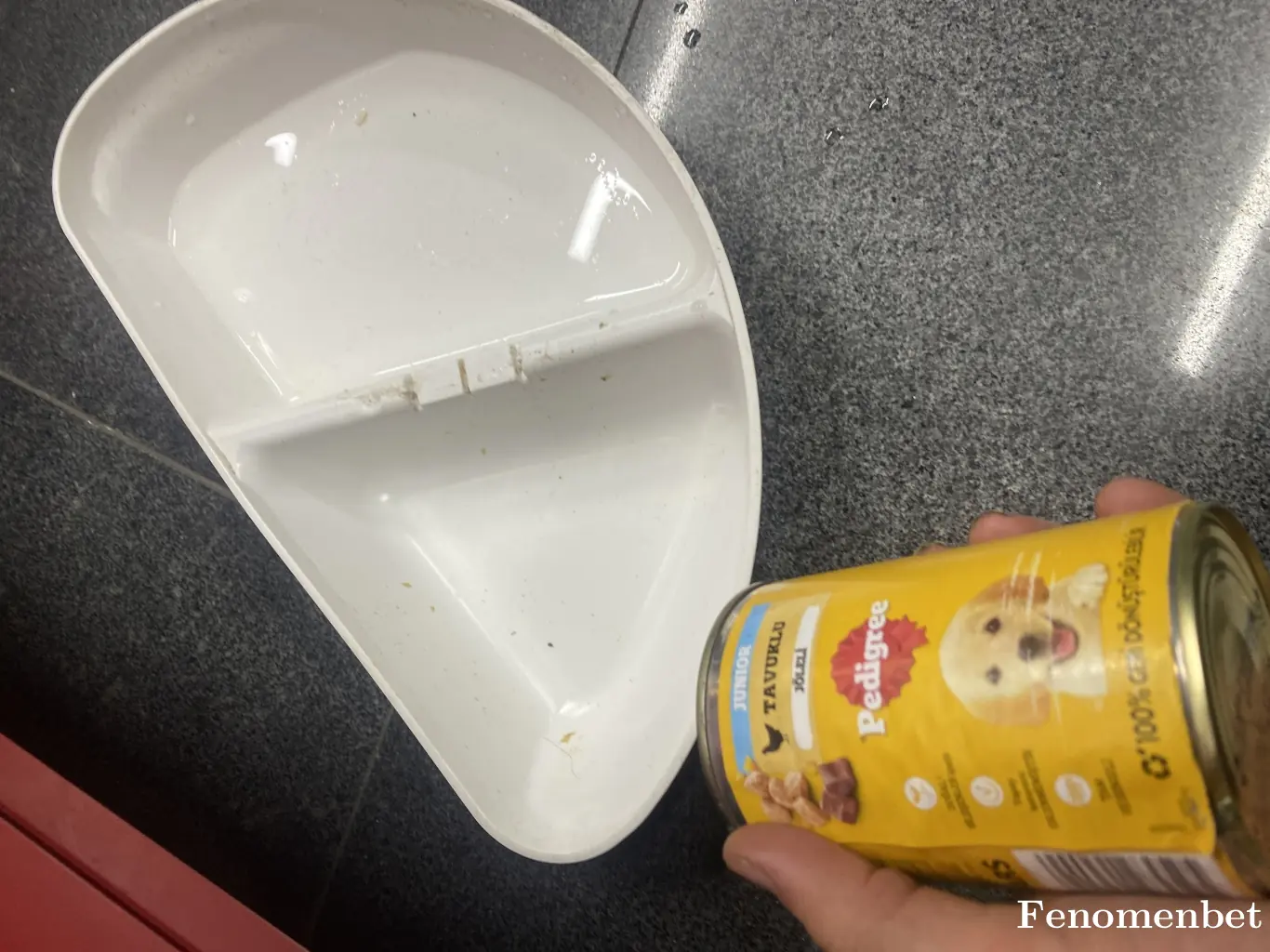 UYGUNTR24 tarafından paylaşılan fotoğraf