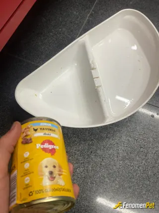 Sokak hayvanı besleme: Bu mama kabını aldım dükkana gelen köpek için geliyor yemek yediriyorum