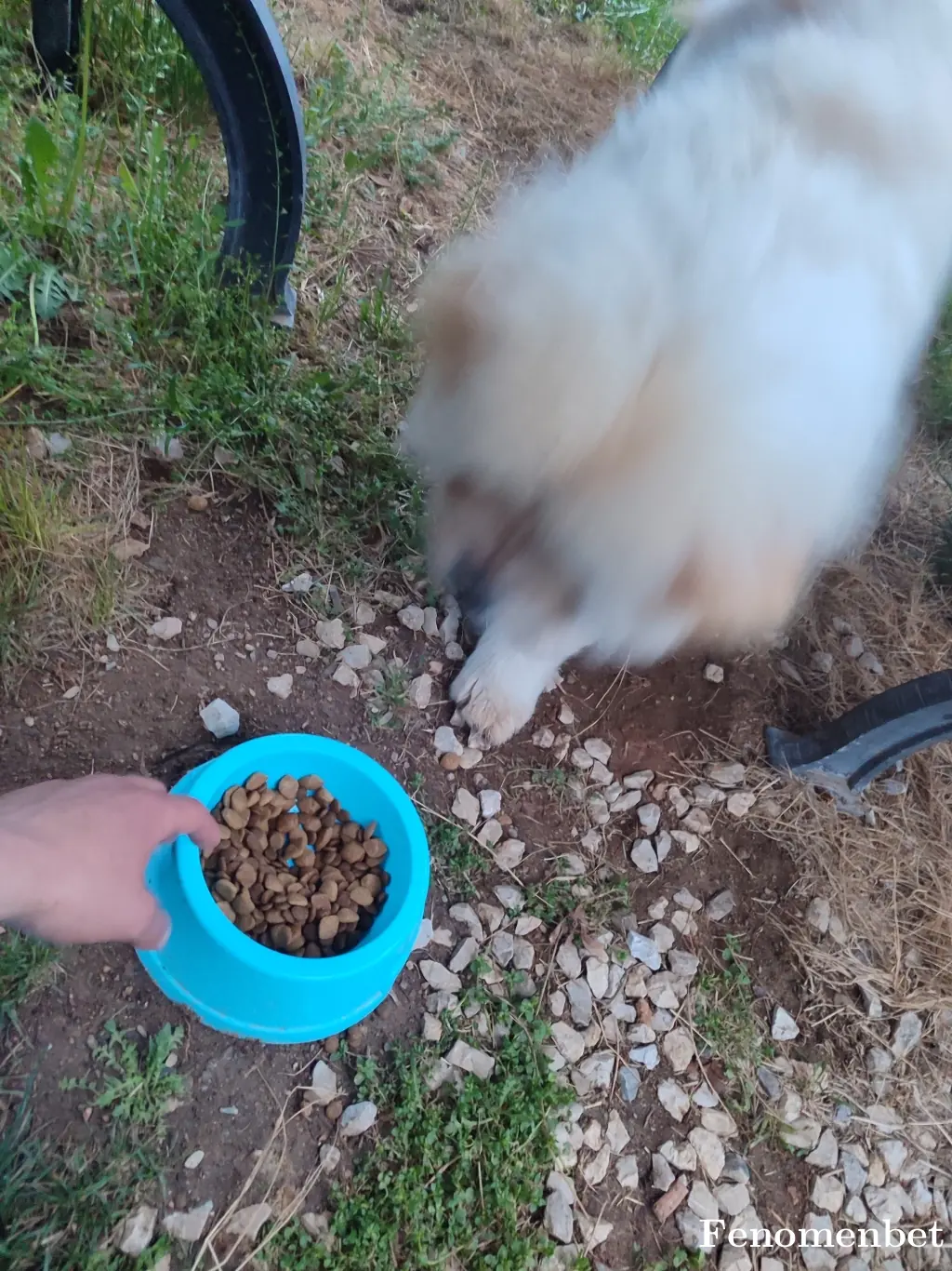 Smlekz tarafından paylaşılan fotoğraf