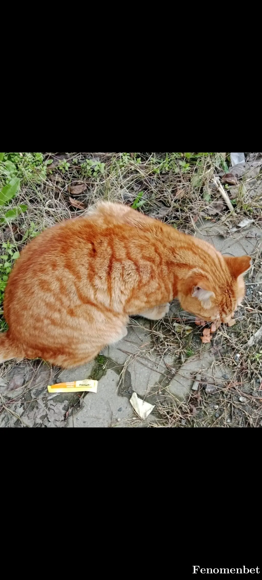 SpeedyMarcos tarafından paylaşılan fotoğraf