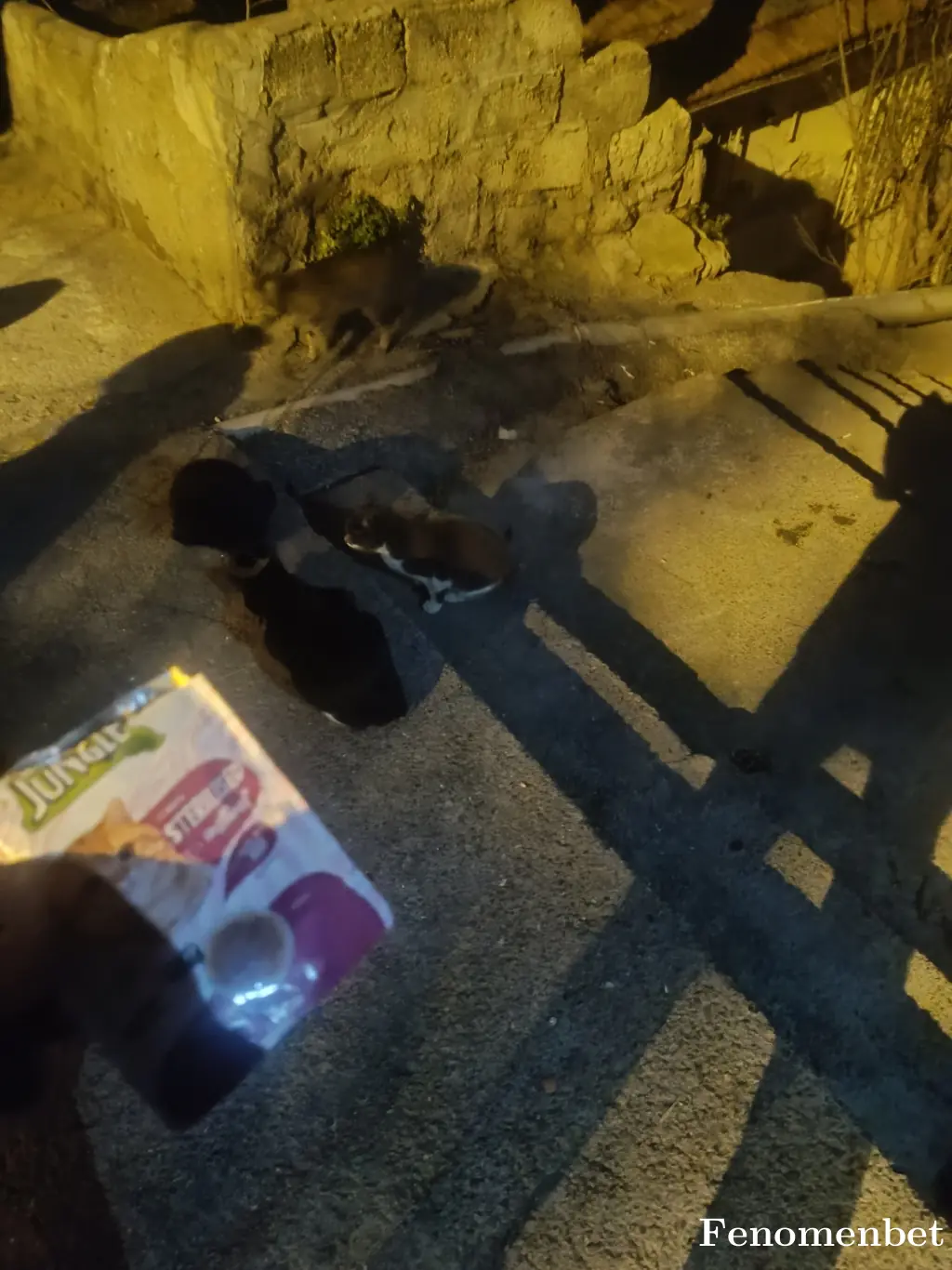 ismetgndgn19 tarafından paylaşılan fotoğraf