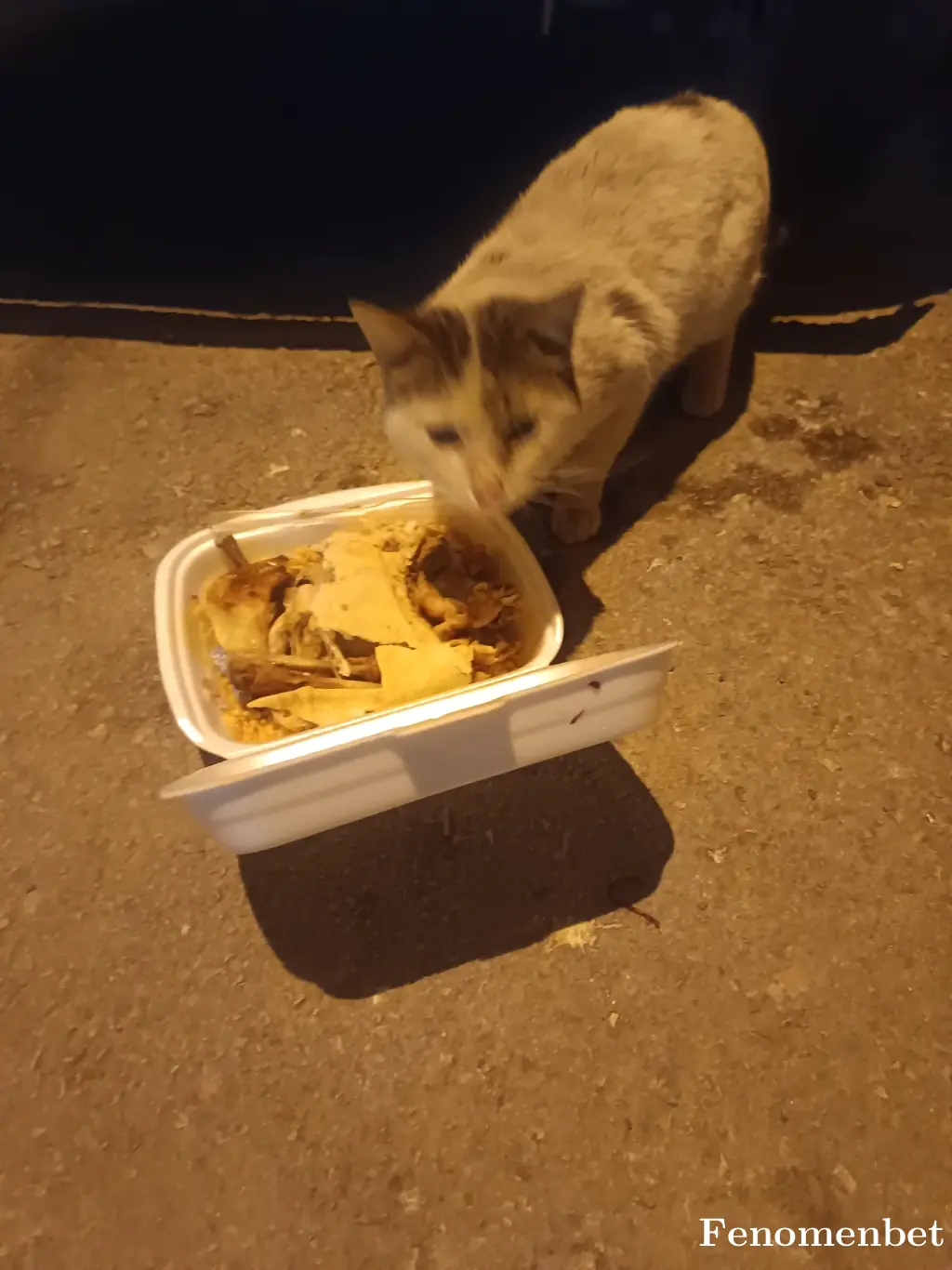 Musti274 tarafından paylaşılan fotoğraf