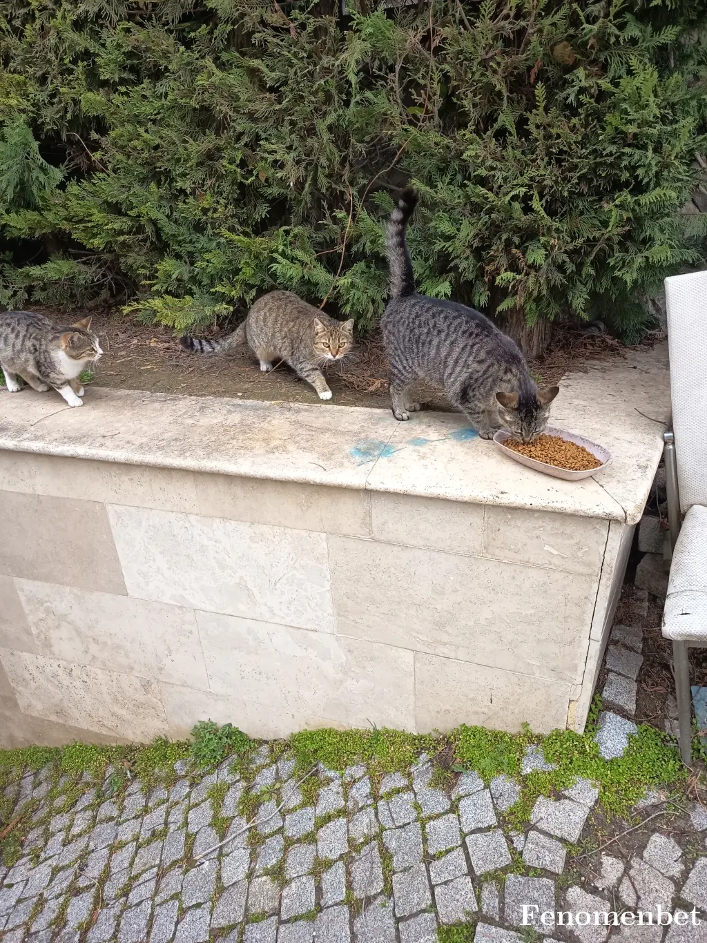 Mila23 tarafından paylaşılan fotoğraf